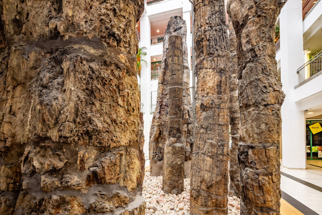 Chemnitz-Tietz-SteinernerWald_05909_Layout-1