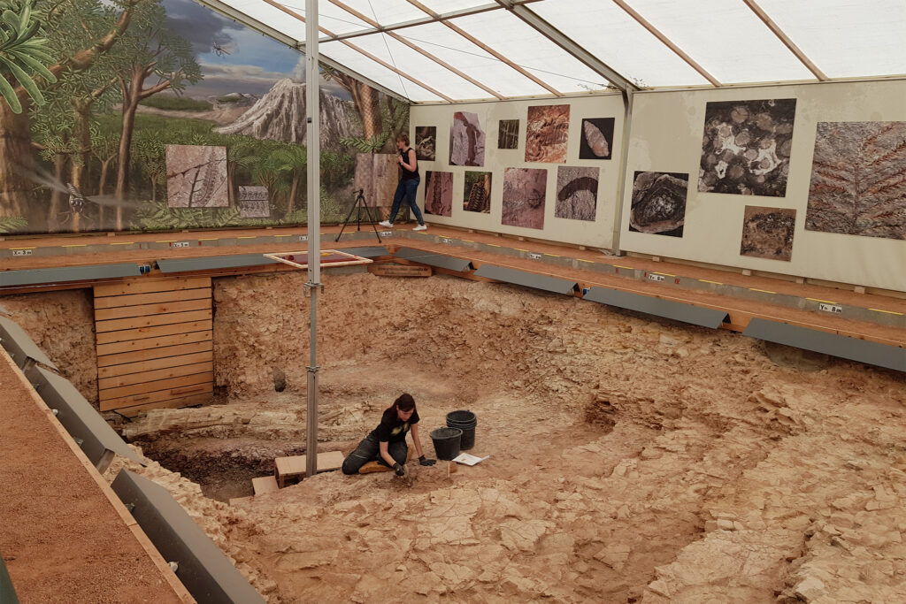 MfNC_Abb_Grabung 7_cropped