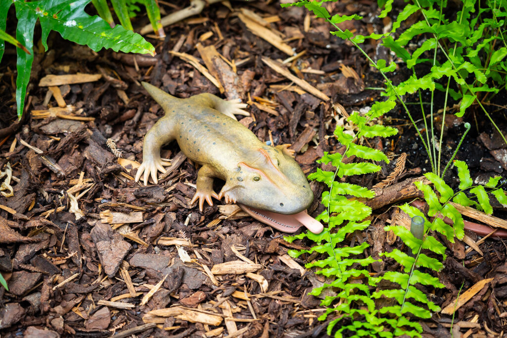 NaturkundeMuseum_00121_Layout-1